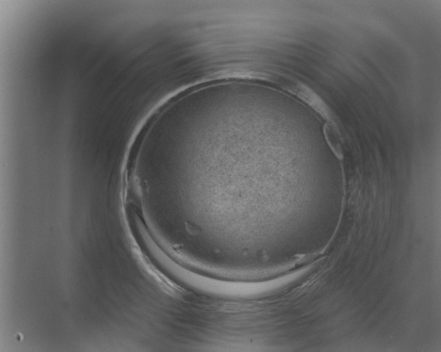 X0000069811132200605261742