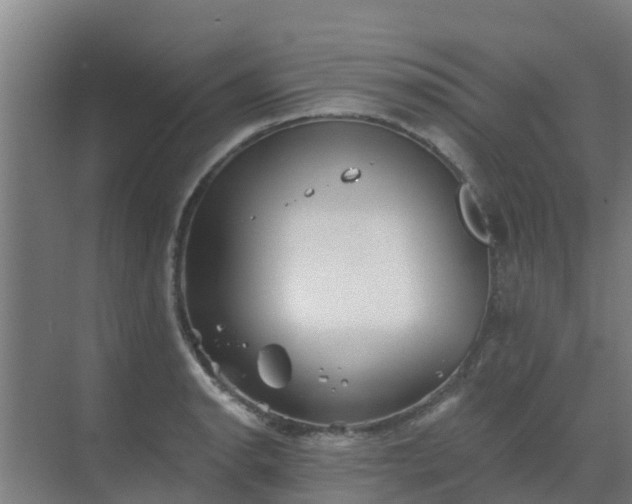 X0000069811134200605261742