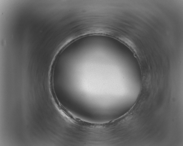 X0000069811135200605261742