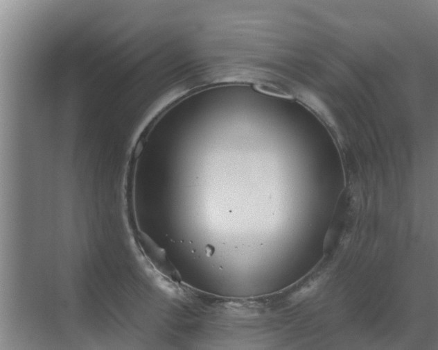 X0000069811138200605261742