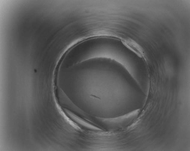 X0000069811142200605261742