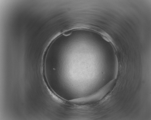 X0000069811143200605261742