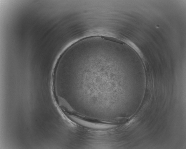 X0000069811144200605261742