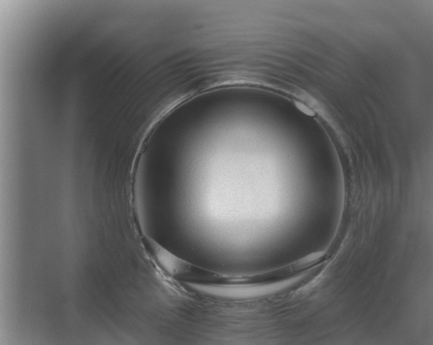 X0000069811145200605261742