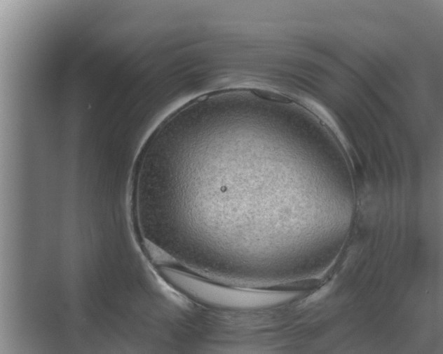 X0000069811149200605261742