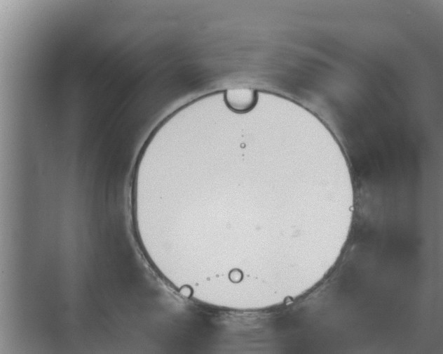 X0000069811150200605261742