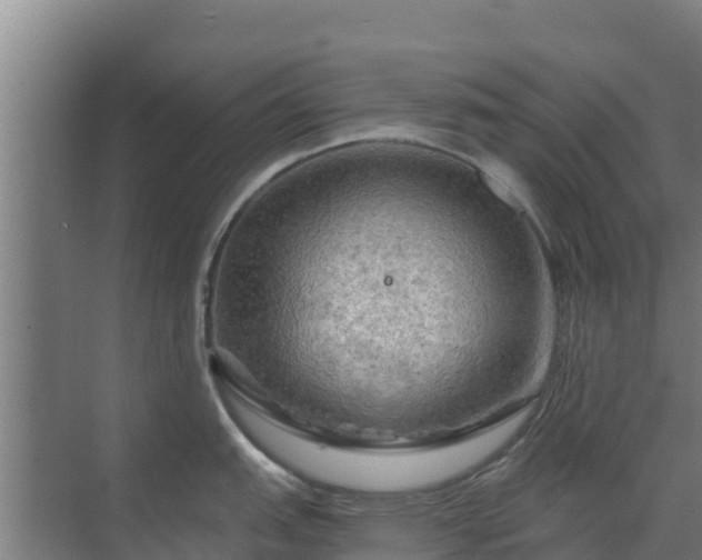 X0000069811151200605261742