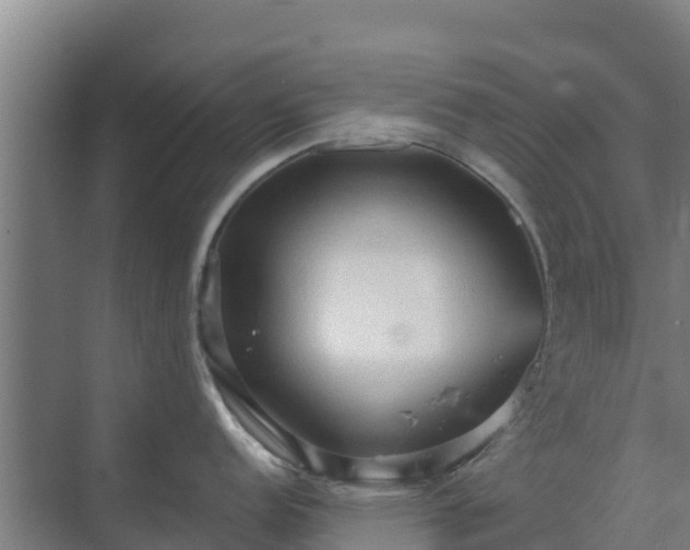 X0000069811152200605261742