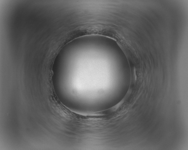 X0000069811153200605261741