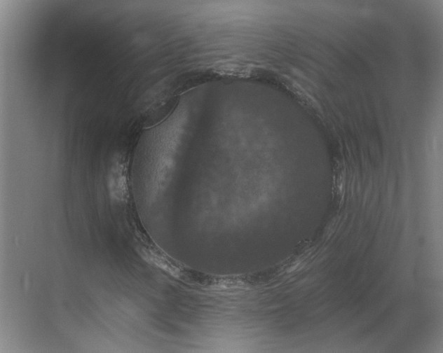 X0000069811154200605261741