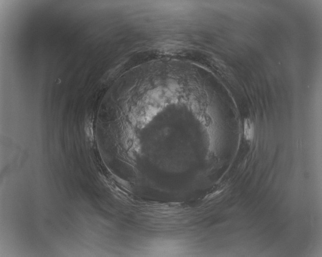 X0000069811155200605261741