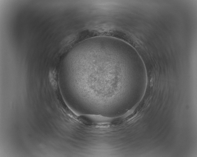 X0000069811156200605261741