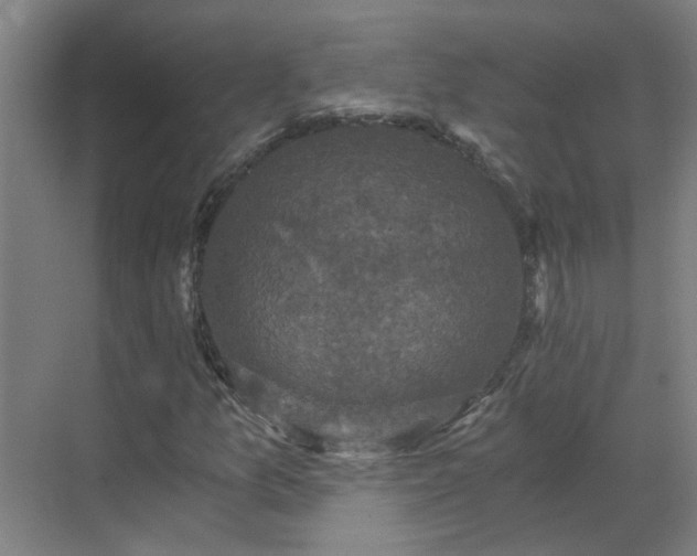 X0000069811157200605261741