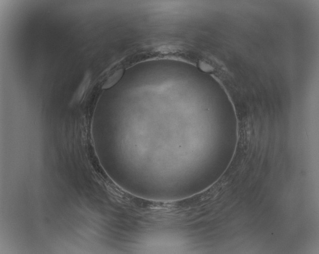 X0000069811158200605261741