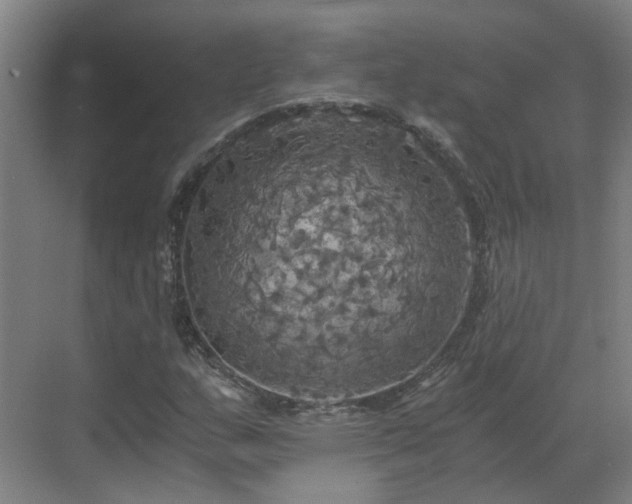 X0000069811159200605261741