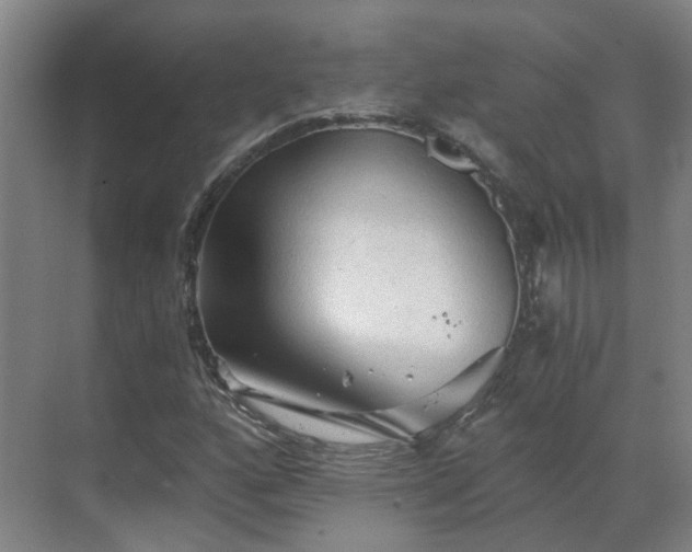 X0000069811160200605261741