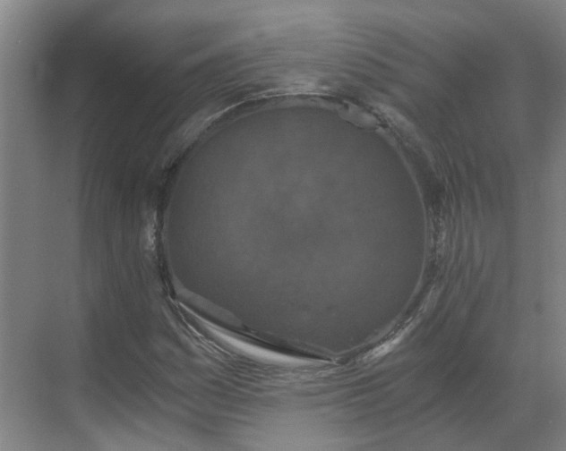 X0000069811161200605261741