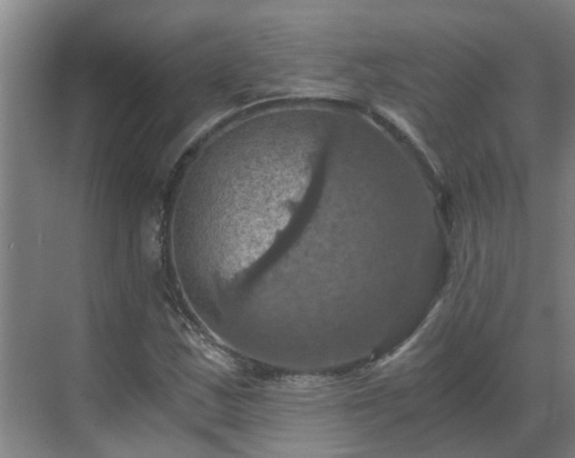 X0000069811163200605261741