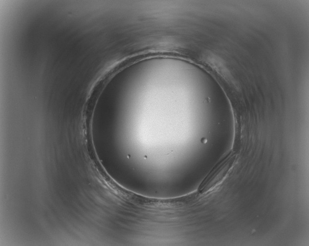 X0000069811164200605261741