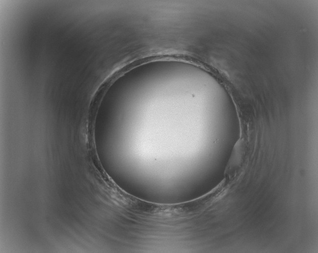 X0000069811165200605261741