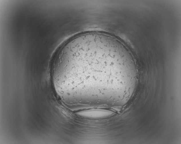 X0000069811167200605261741