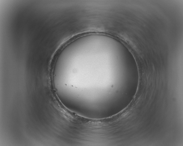 X0000069811168200605261741