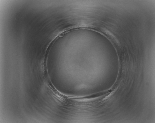 X0000069811170200605261741