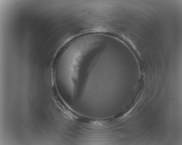 X0000069811171200605261741