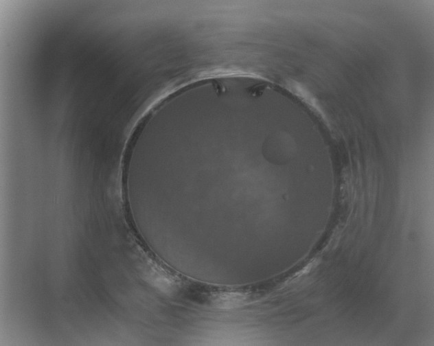 X0000069811173200605261741