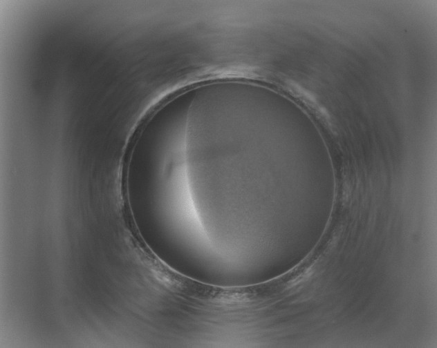 X0000069811174200605261741