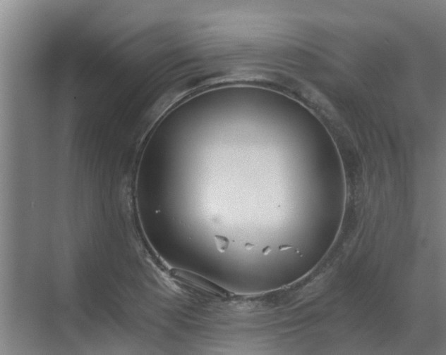 X0000069811177200605261741