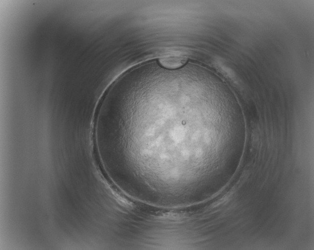 X0000069811178200605261741