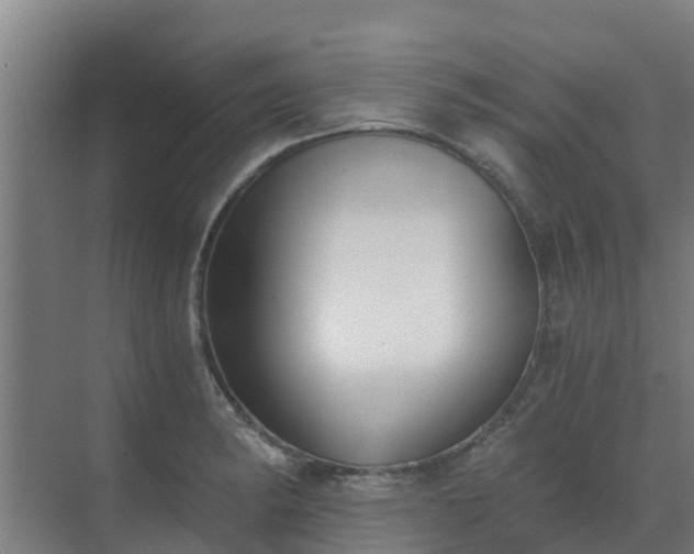 X0000069811182200605261741