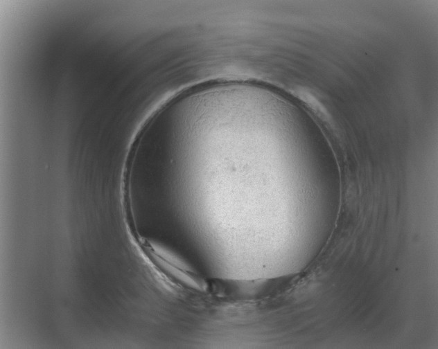 X0000069811183200605261741