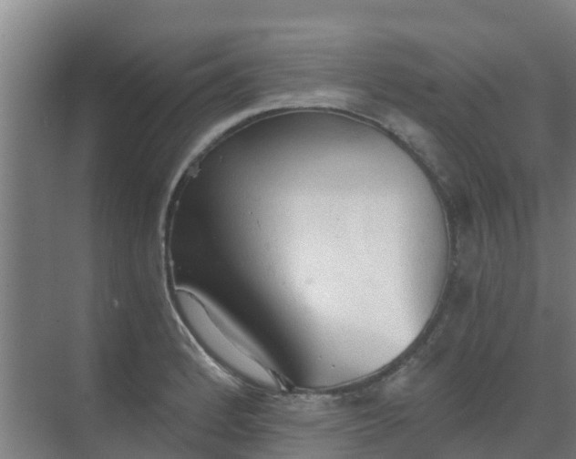 X0000069811184200605261741