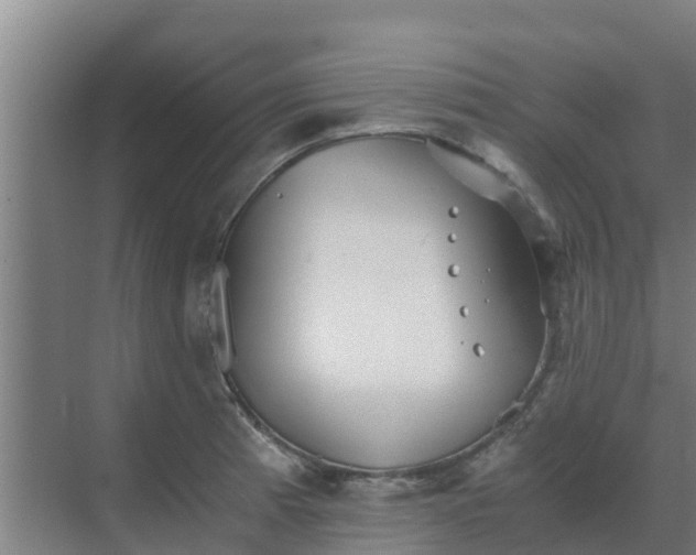 X0000069811185200605261741