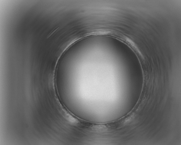 X0000069811186200605261740