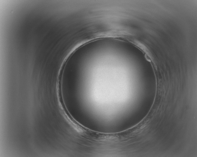 X0000069811187200605261740