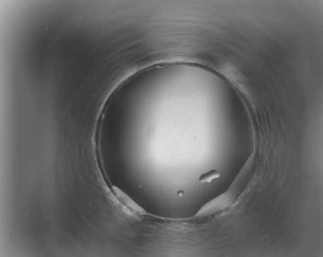 X0000069811189200605261740