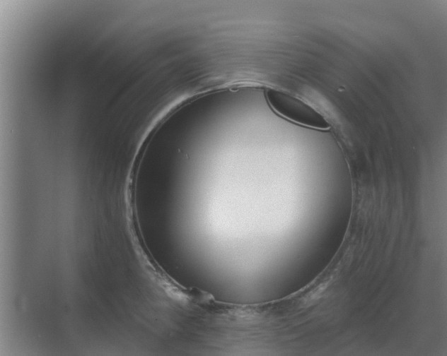 X0000069811190200605261740