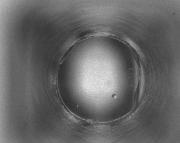 X0000069811193200605261740