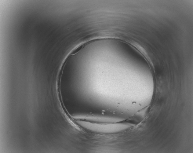 X0000069811197200605261740