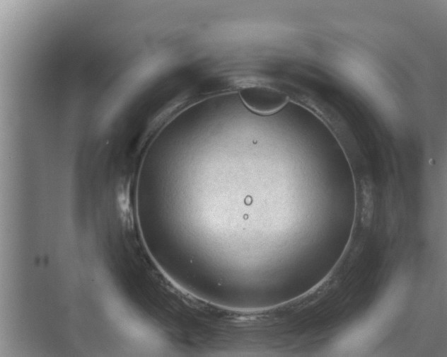 X0000069811198200605261740