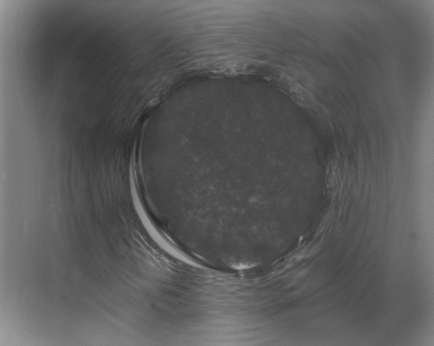 X0000069811202200605261739