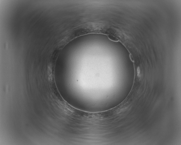 X0000069811203200605261739