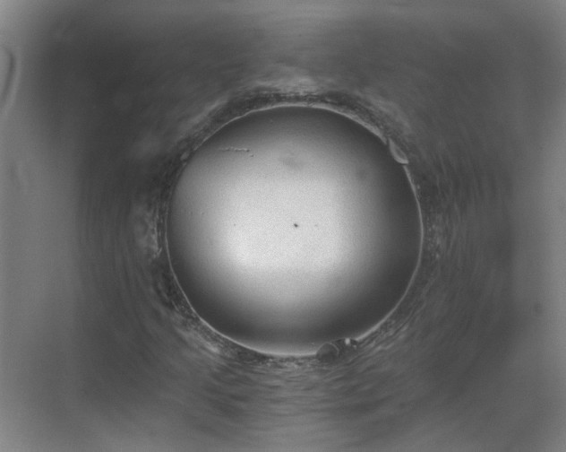 X0000069811205200605261740