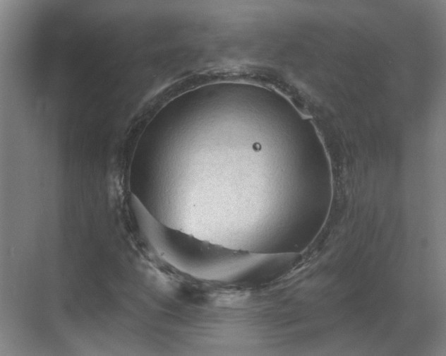 X0000069811206200605261740