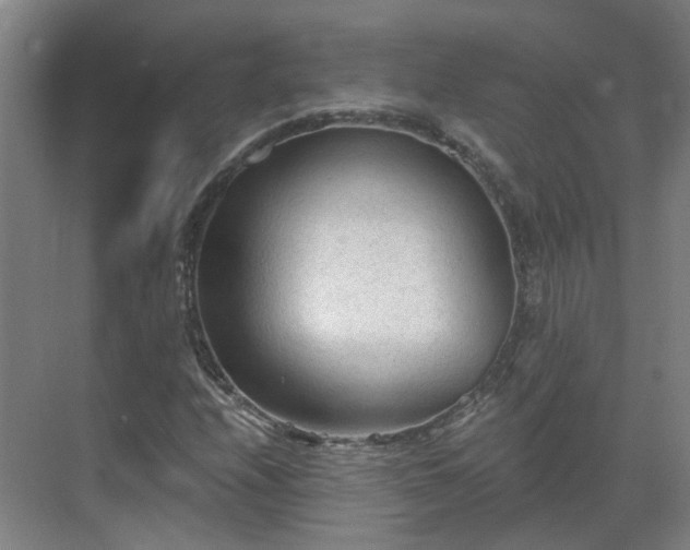 X0000069811208200605261740