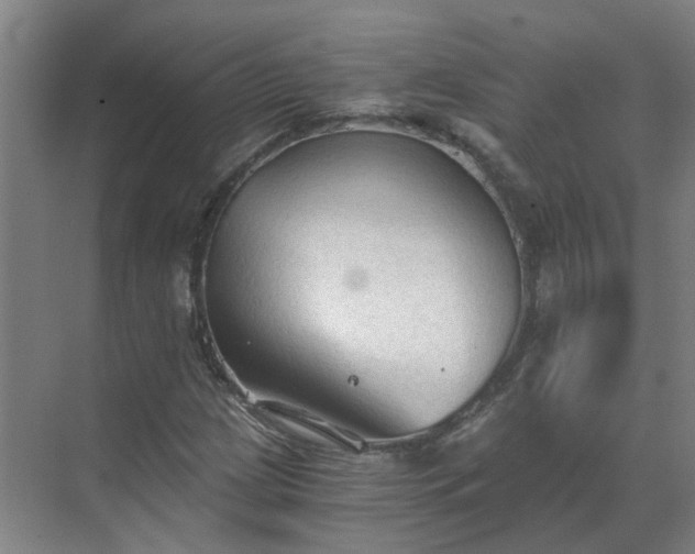 X0000069811209200605261740