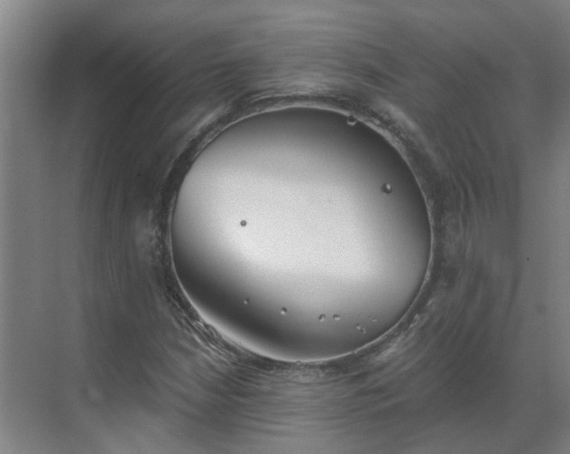 X0000069811210200605261740